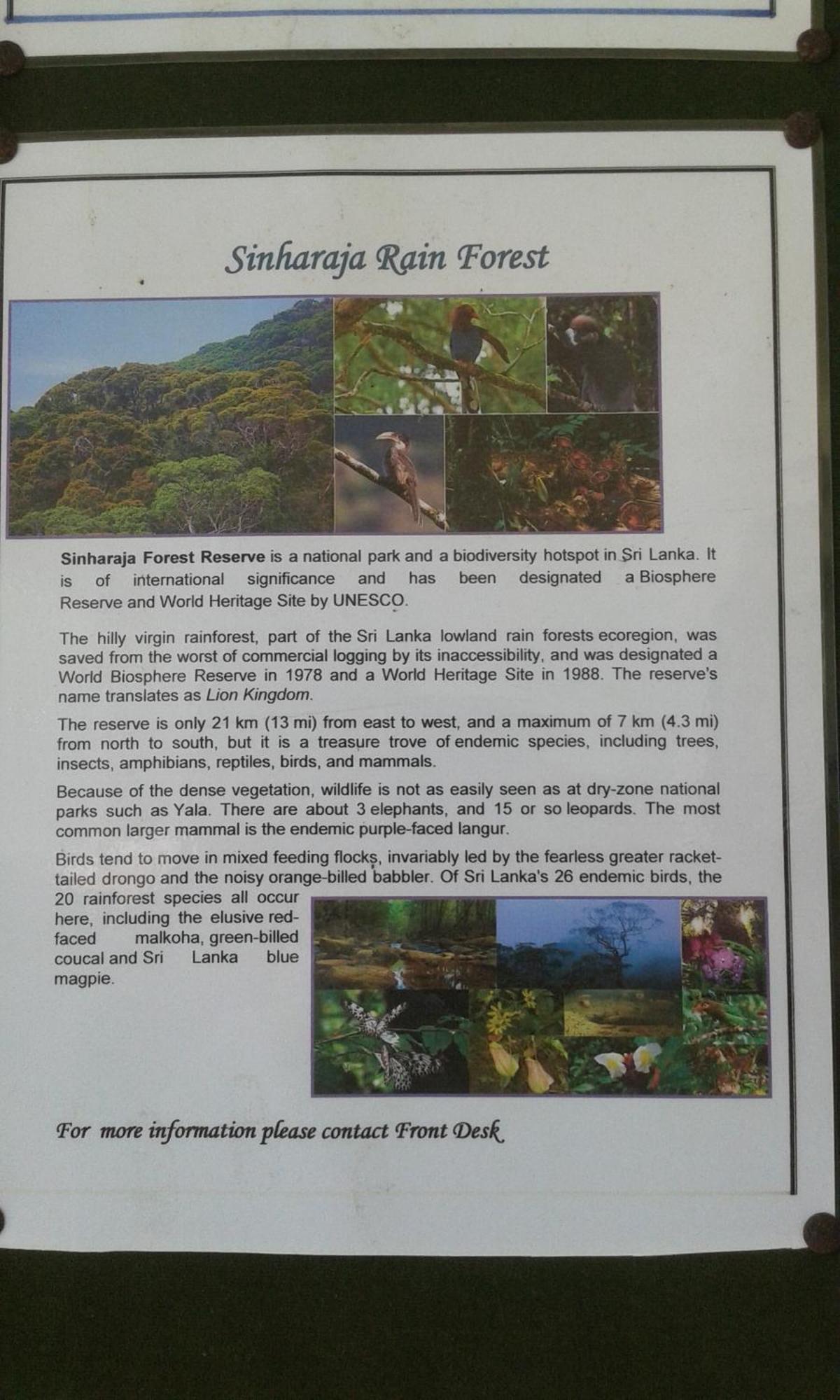 Kaween Homestay Weligama Eksteriør billede