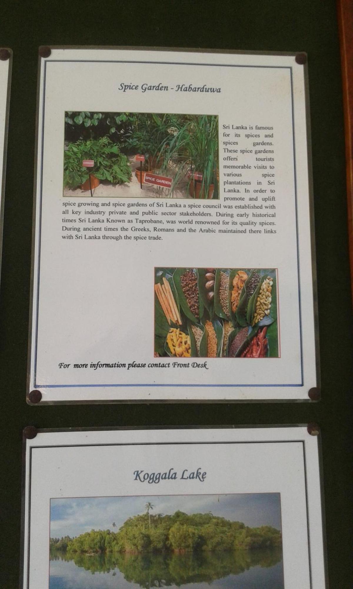 Kaween Homestay Weligama Eksteriør billede