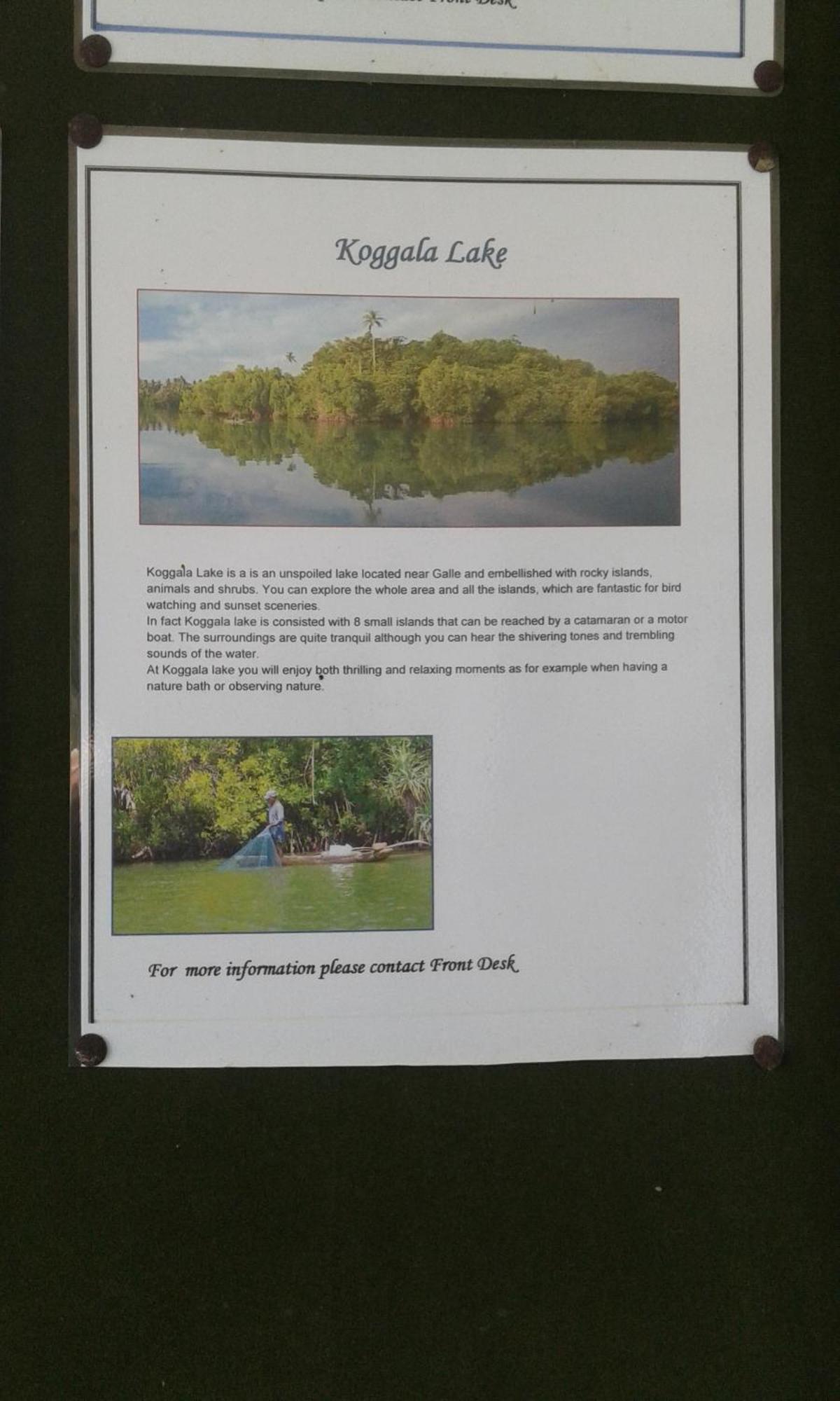 Kaween Homestay Weligama Eksteriør billede